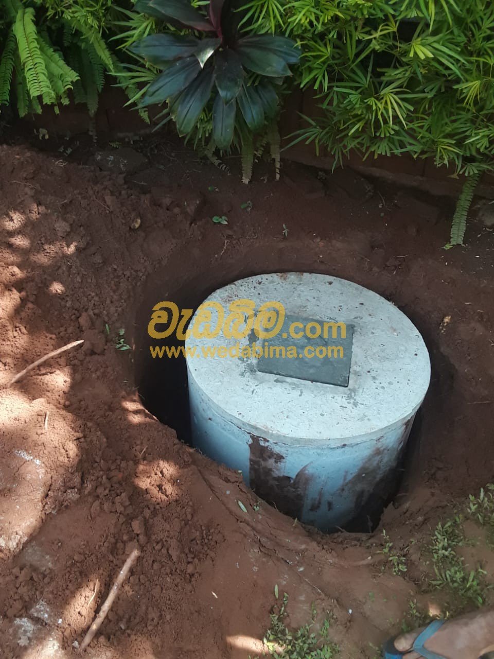 Other image wedabima.com_37tk45bemt5a8jsAVTisWFFnONbStDbVUNoKhJob.jpeg