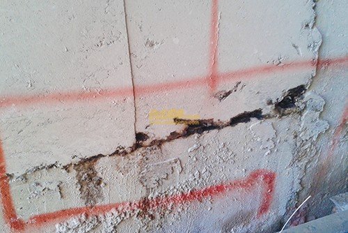 Other image wedabima.com_3pYdH80aU1A5no4bkLF6DemYeBLyz9d76ucGGgoF.jpeg