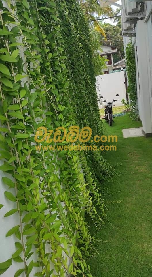 Other image wedabima.com_PAet88JOzA54df7um7y3O3mrcApuWas2jKiz7m0W.jpeg