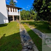 Other image wedabima.com_llDeTyQ1DUrX630V4TCE6PwBLRsqOpLSAvyXDKuk.jpeg