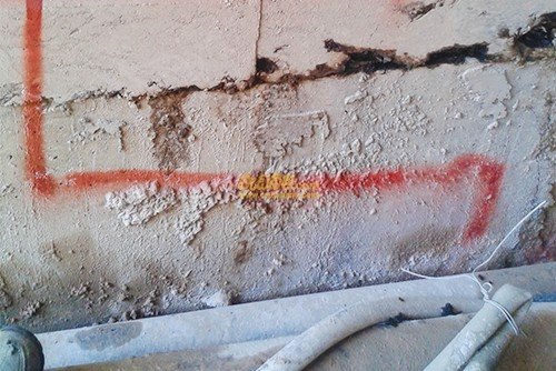 Other image wedabima.com_nEOvmCrUr79yBCjrnEwpMhm2DEbcbTEUdG9ybNhj.jpeg